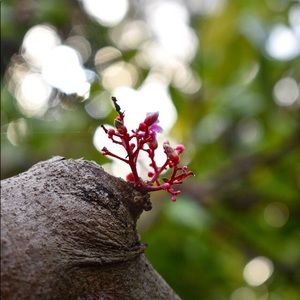 Meet your Posher, Cole